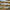 Nutritional Analysis of Pastured Poultry Products