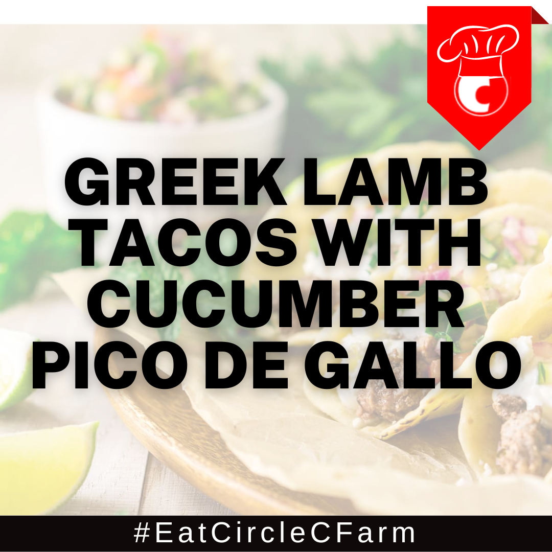 Greek Lamb Tacos with Cucumber Pico de Gallo