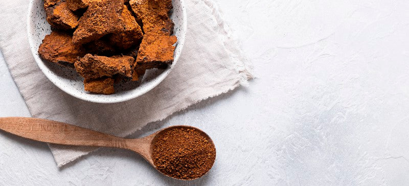 Chaga Mushroom: 5 Benefits and How to Make Chaga Tea Dr. Axe Circle C Farm Annie Price, CHHC