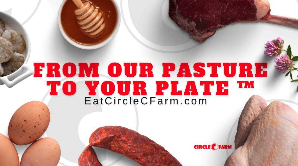 New Photos 📸 From Our Pasture to Your Plate™ | 100% Pastured, Grass-fed & Grass-finished Meat & Golden Eggs from our Family Farm