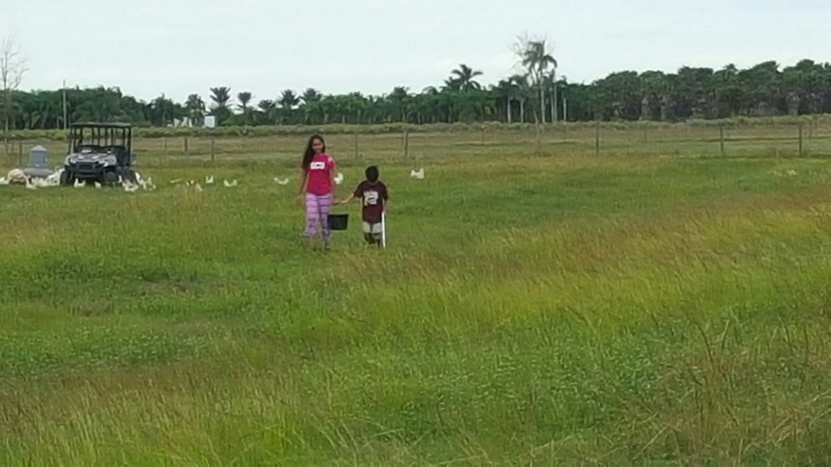 FREE RANGE OR PASTURED POULTRY Circle C Farm