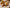 Food Trends 2023 Circle C Farm
