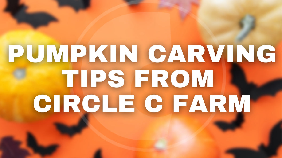 Top 5 Tips for Carving Halloween Pumpkins