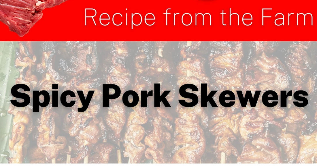 Circle C Spicy Pork Skewers
