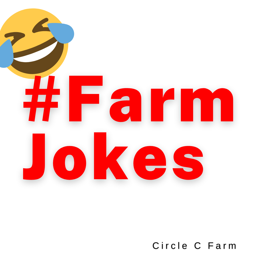 Farm Joke of the Day - 11.19.2021