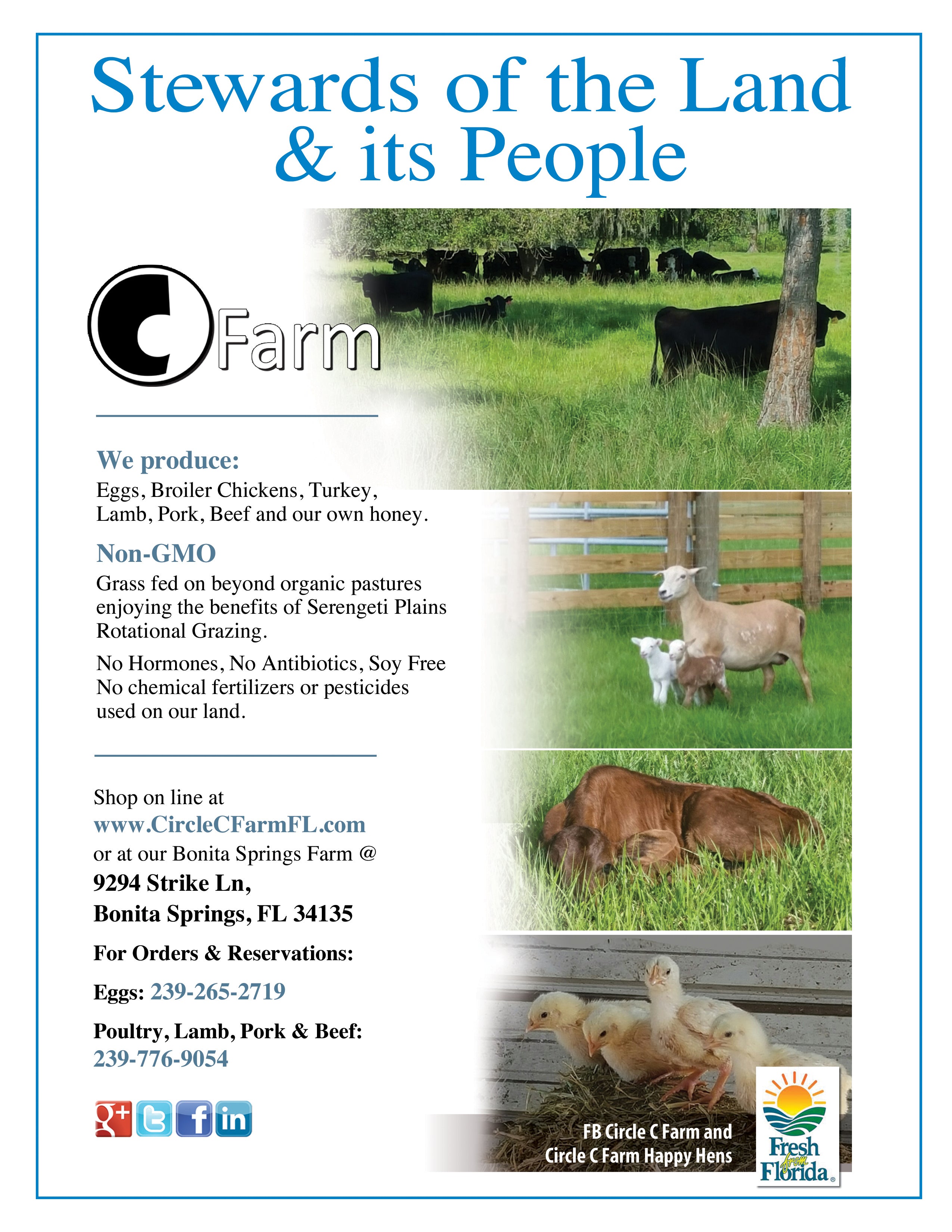 Circle C Farm, Fresh From Florida, Local grass fed and grass finished meats, eggs and honey