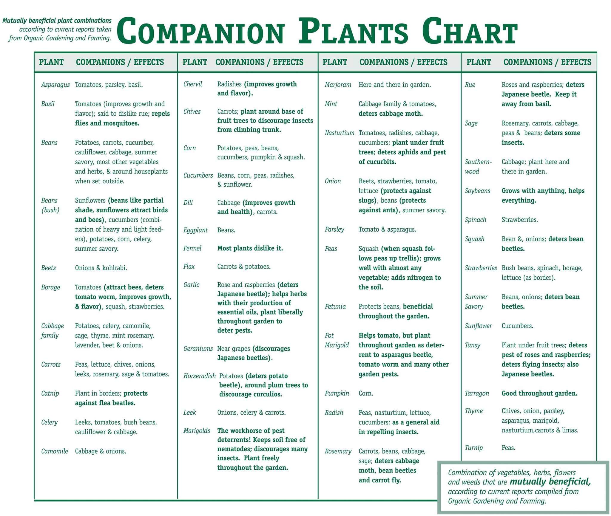 Companion Plant Chart for Your Garden / What to plant with what? Circle C Farm