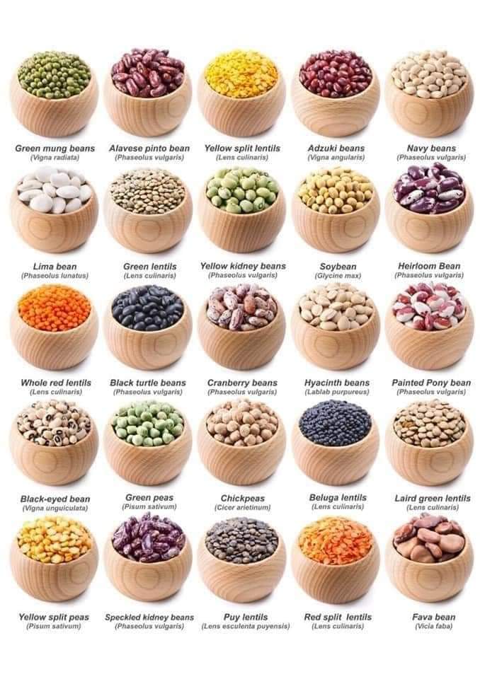 Great list of beans and lentils, so many to chose from. Circle C Farm