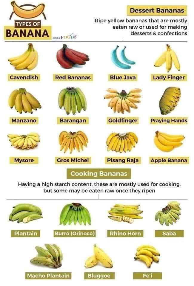 Did you know there are both cooking and dessert bananas? Circle C Farm