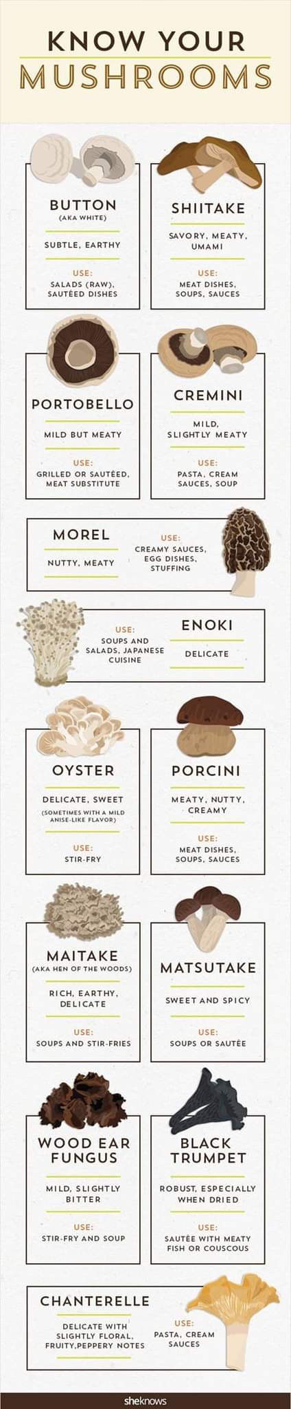 Know Your Mushrooms Circle C Farm