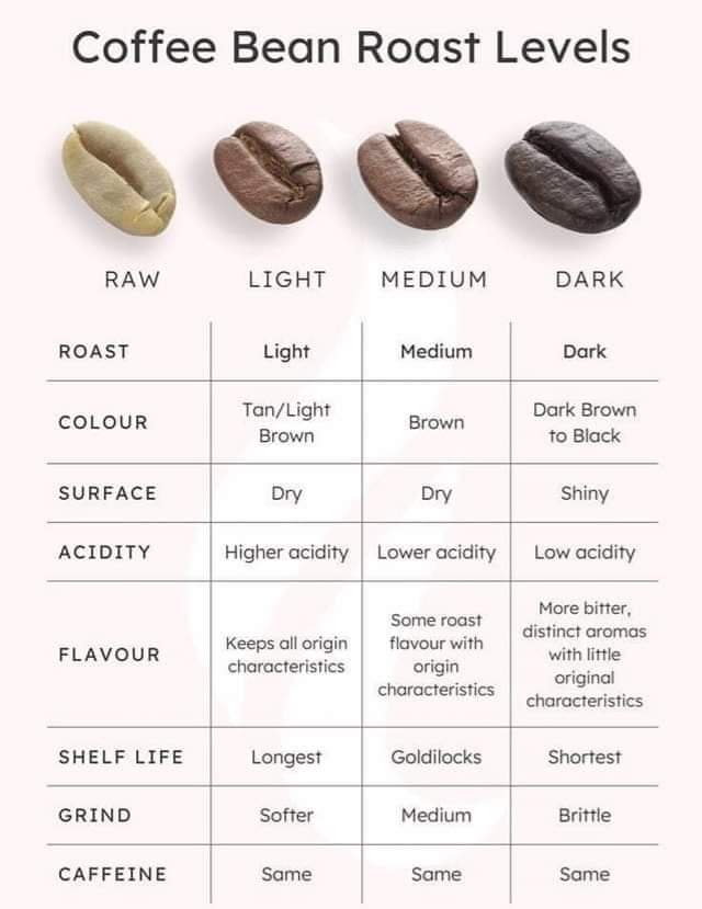 Coffee Bean Roast Levels, Do you know your coffee bean? Circle C Farm