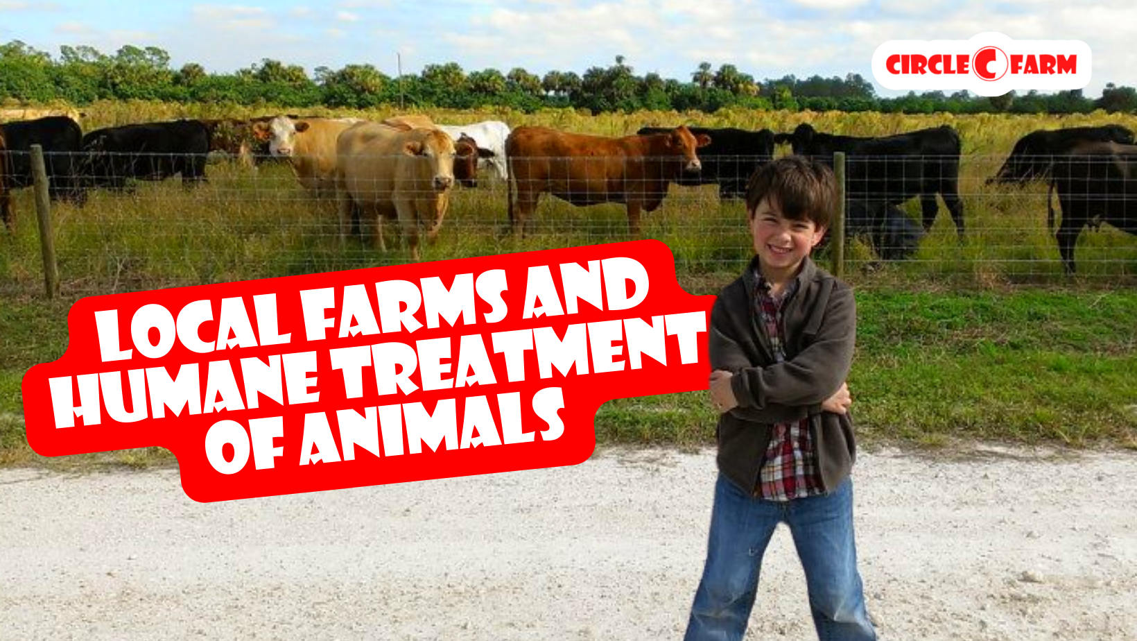 The role of small and local farms in promoting humane treatment of animals
