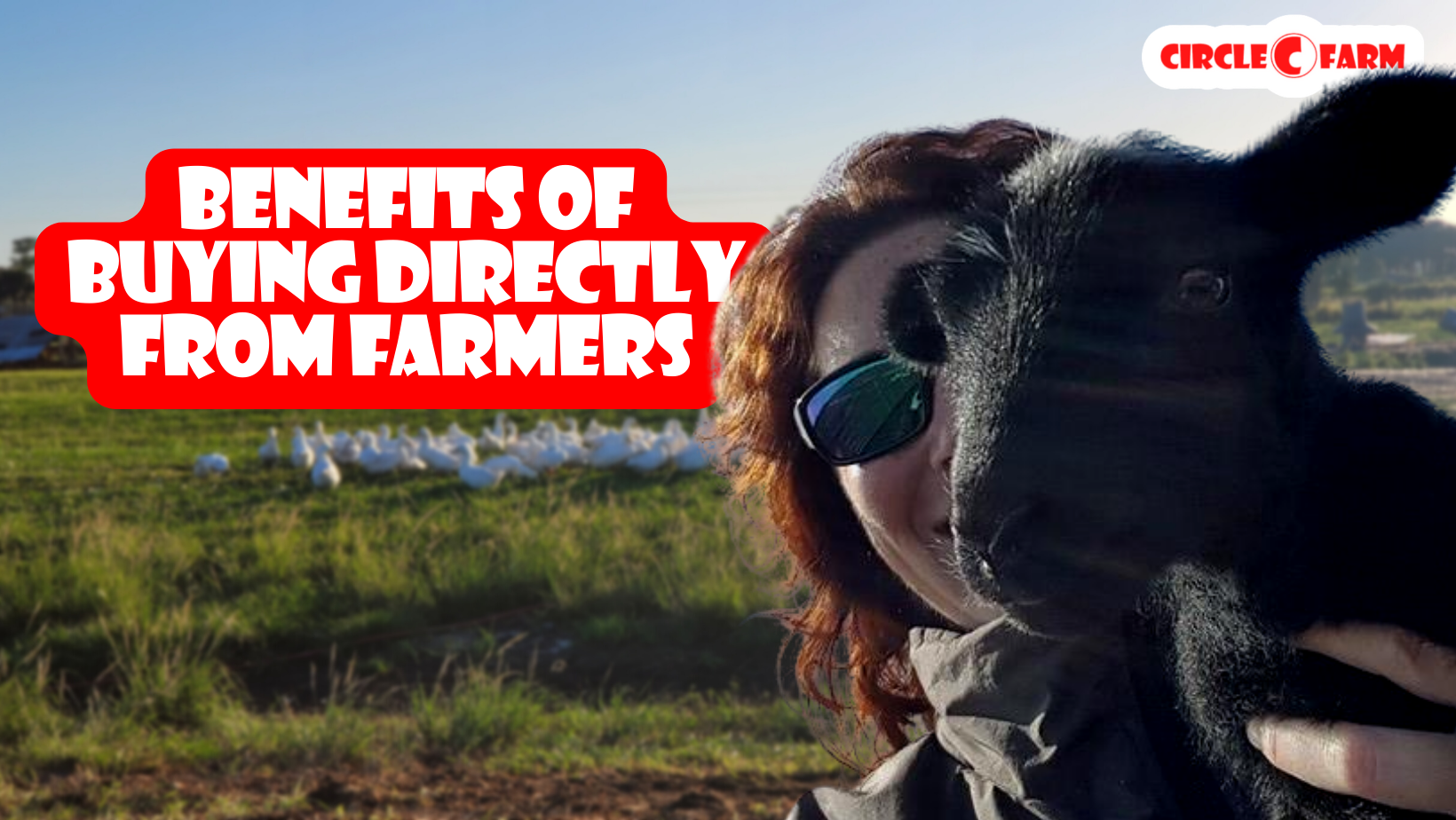 The benefits of buying directly from farmers, including supporting local communities and the economy