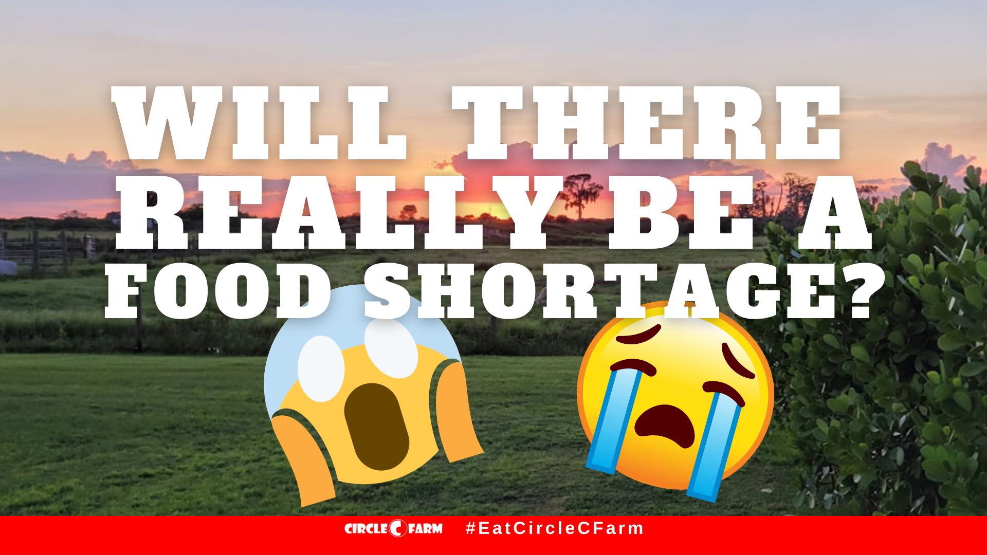 BIG FOOD SHORTAGES IN 2022? Hear from a real Farmer in 2022.