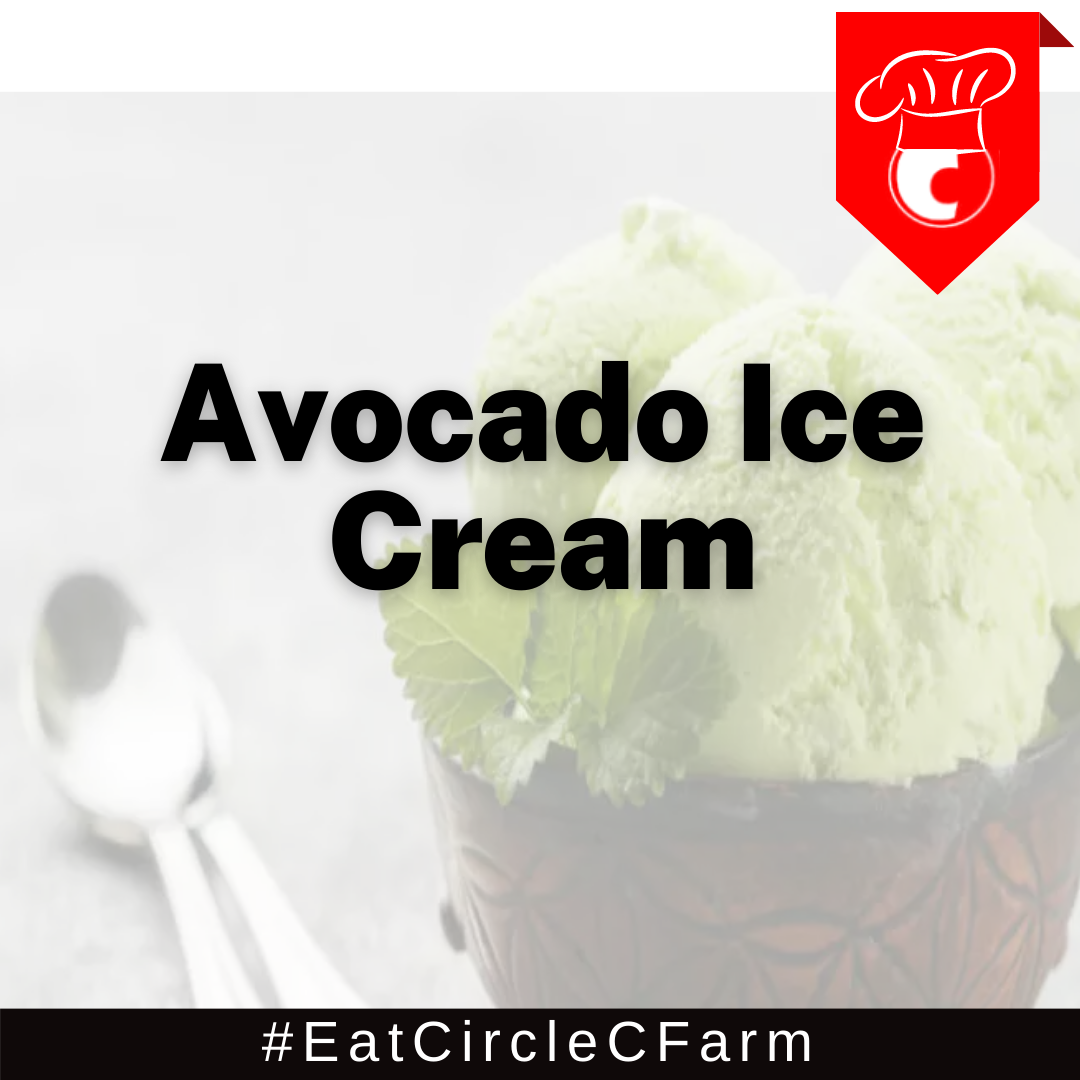Make Avocado Ice Cream with our Circle C Farm Raw Unfiltered Honey