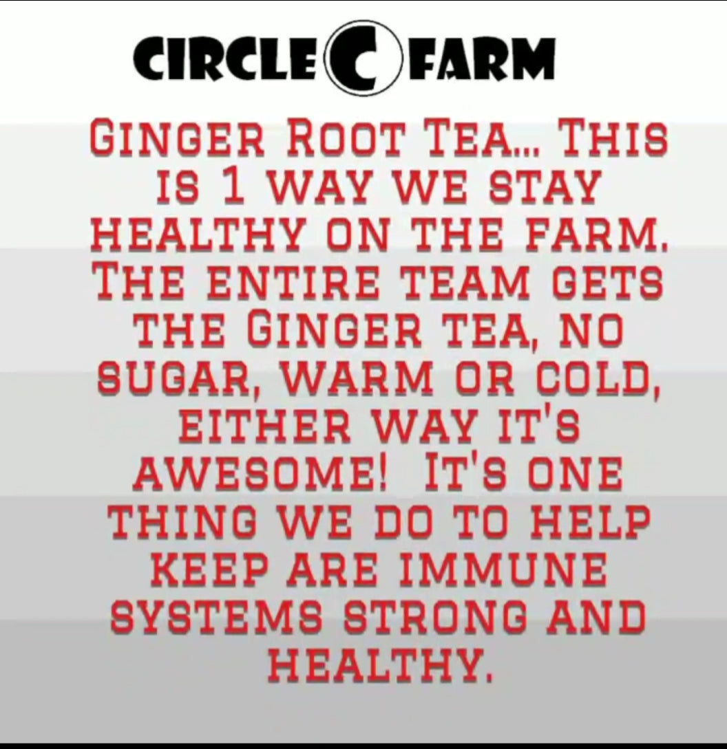 Circle C Farm Organic Ginger Root Tea Recipe