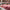 Where to Buy Bulk Meat Online with Fast Shipping