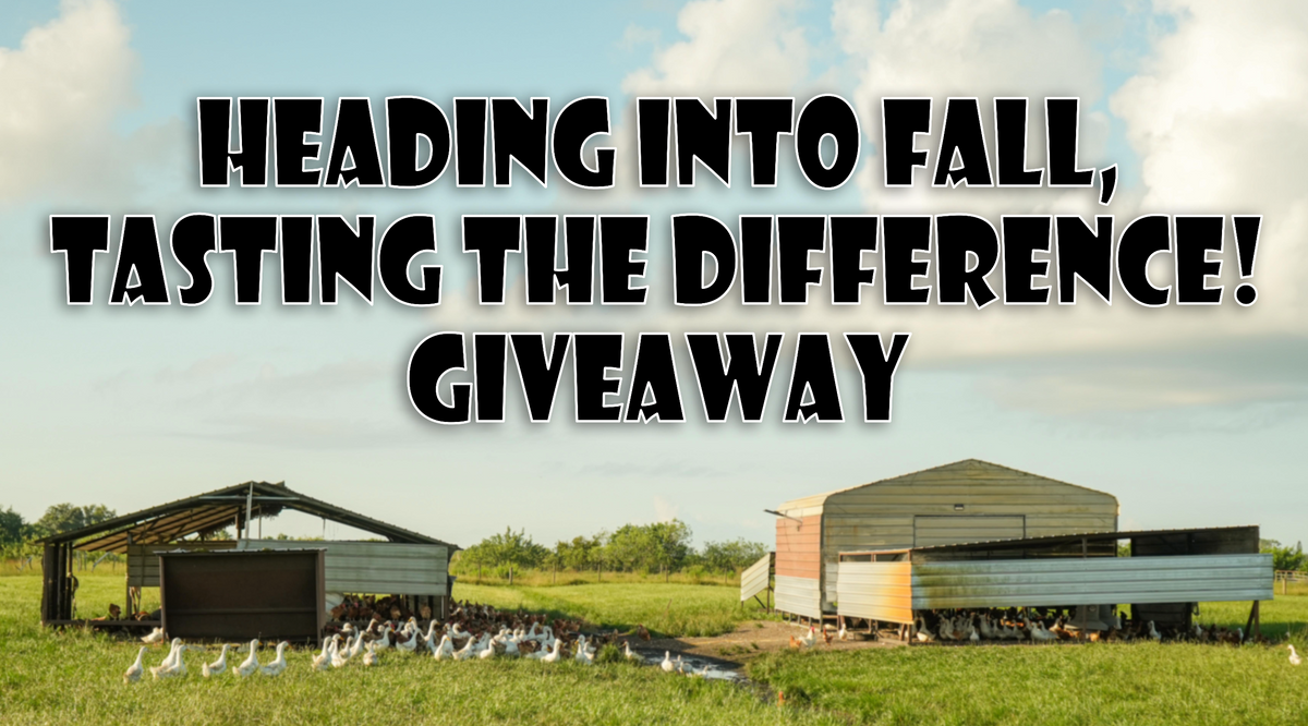 Fall 2022 Giveaway