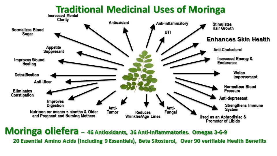Circle C Farm Organically Grown Moringa