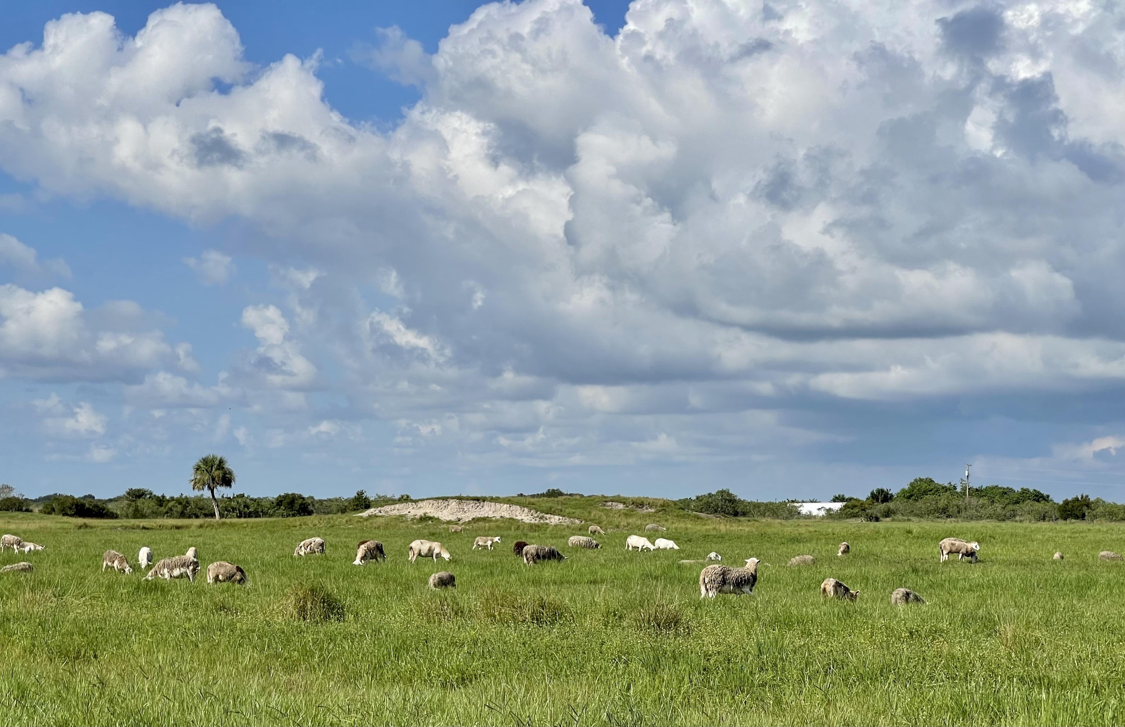 Why Are Self-sustaining Farms Important