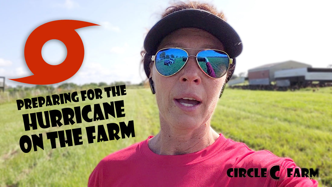 How to Prepare Your Livestock for a Hurricane or Tropical Storm