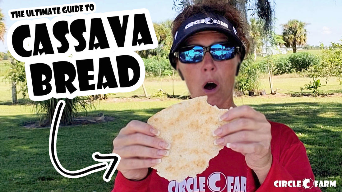 The Ultimate Guide to Cassava Bread from Circle C Farm