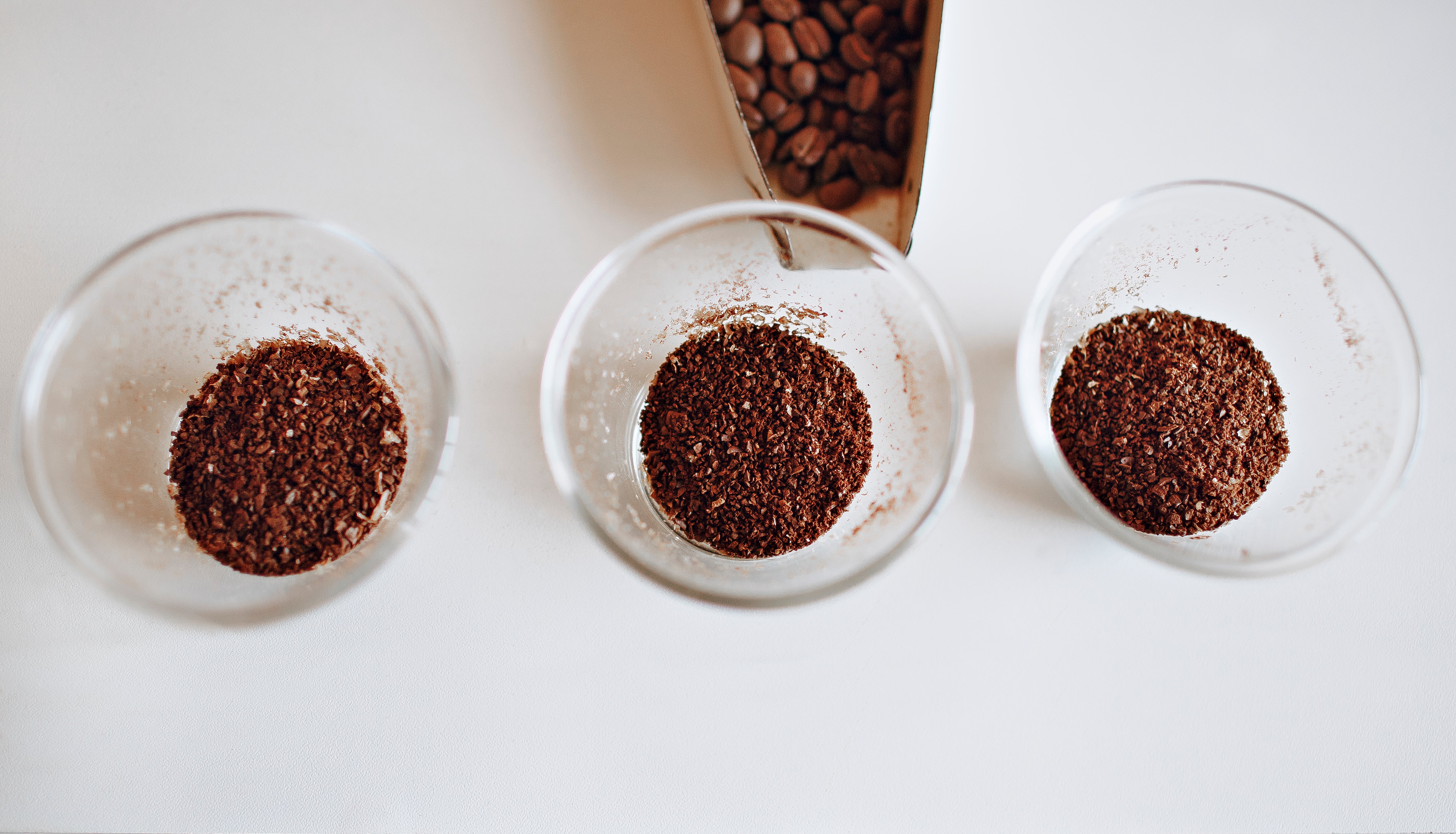 Natural Uses for Coffee Grounds in Your Garden