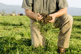 What are the 4 principles of regenerative agriculture?
