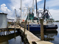 Thumbnail for Red Grouper Fish Fillets, Wild Caught, Raw, Fresh Frozen - Circle C Farm