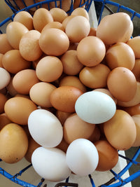 Thumbnail for 1 1/2 Dozen Pastured Chicken Eggs, (1 Case Of 18 Eggs) - Circle C Farm