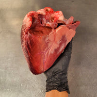 Thumbnail for Grass Fed & Grass Finished Beef Heart - Circle C Farm