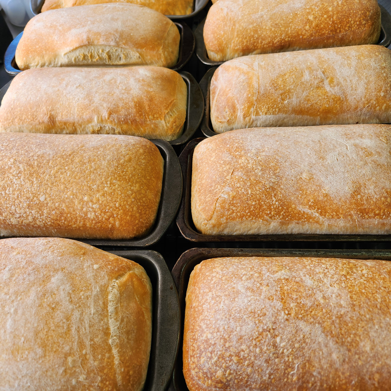 Sourdough Bread & Rolls READY TO EAT Ships FROZEN