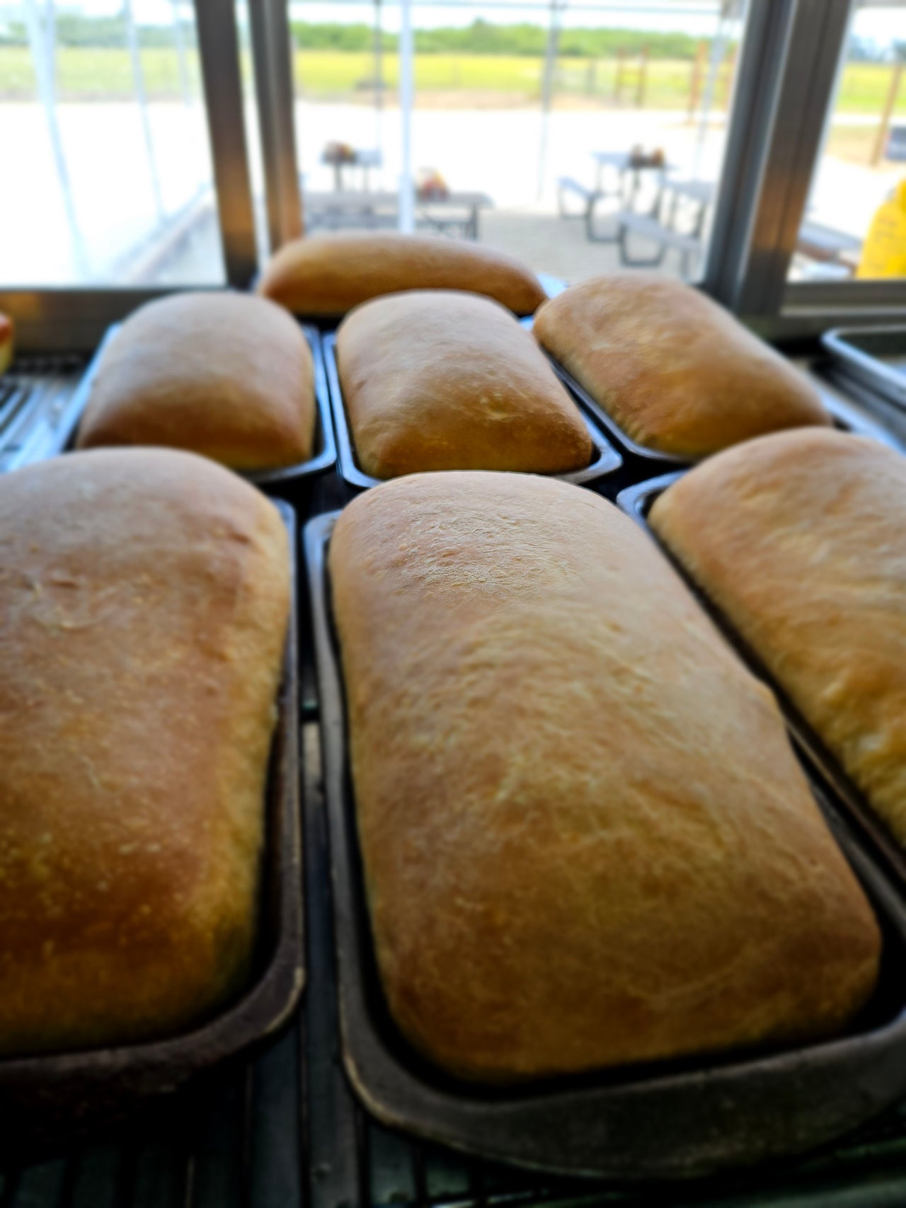 Sourdough Bread & Rolls READY TO EAT Ships FROZEN Circle C Farm