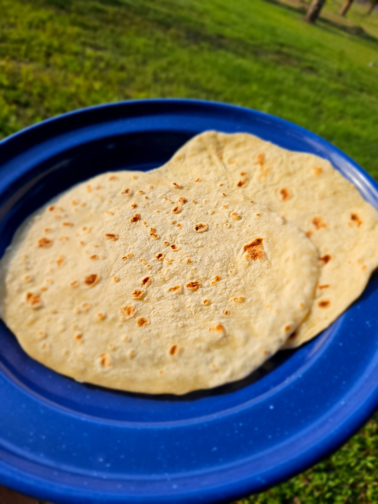 Flour Tortillas 10 Count Ships FROZEN / Ready To Eat Circle C Farm