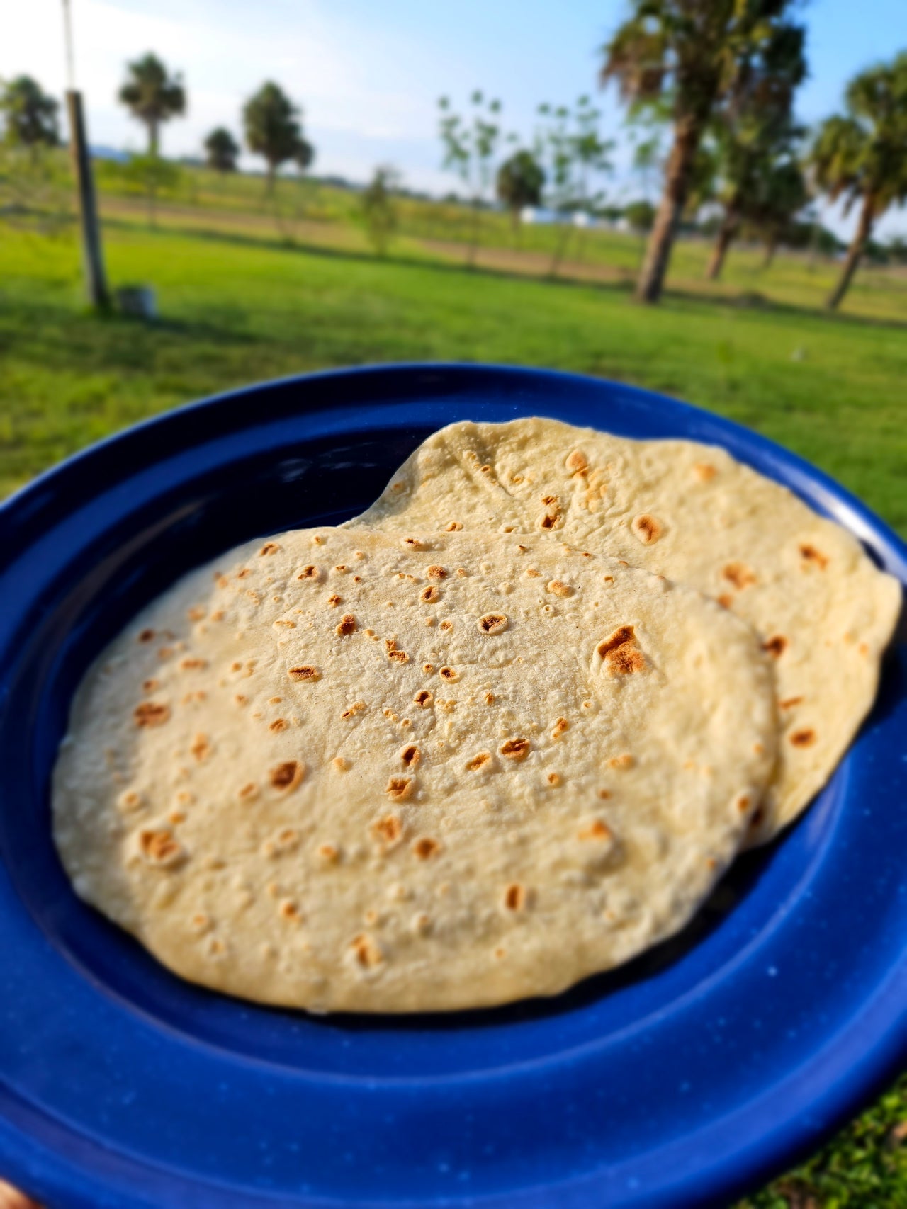 Flour Tortillas 10 Count Ships FROZEN / Ready To Eat Circle C Farm