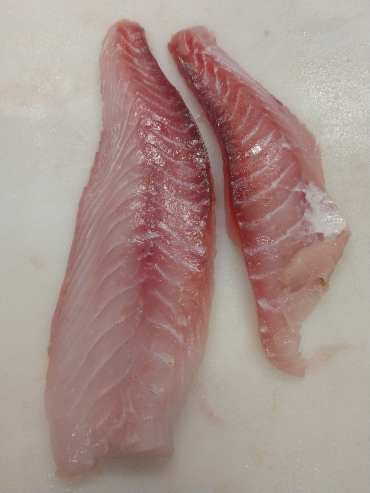 Red Grouper Fish Fillets, Wild Caught, Raw, Fresh Frozen - Circle C Farm