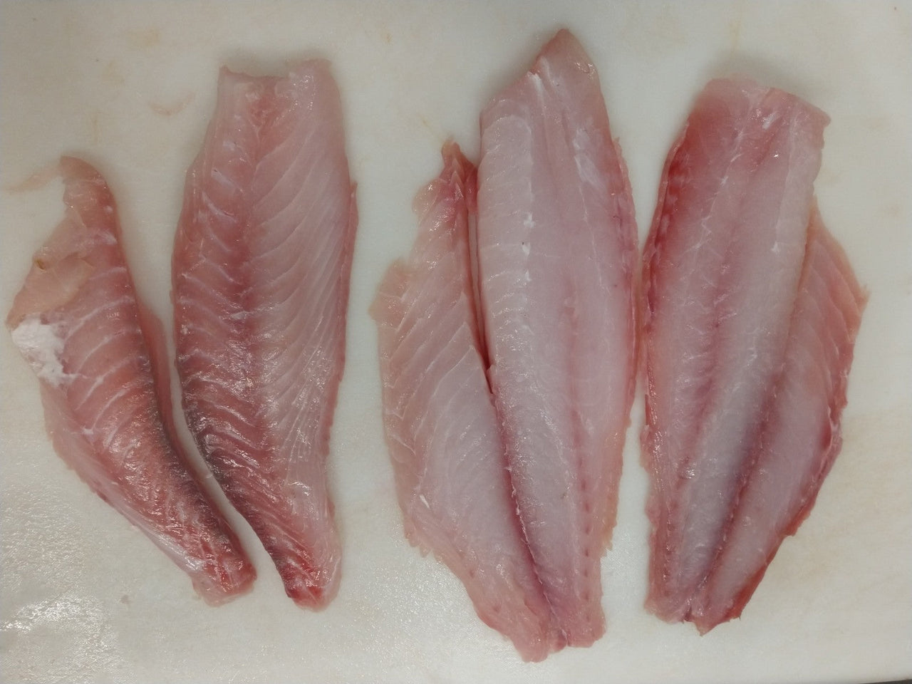 Red Snapper Fish Fillets, Wild Caught, Raw, Fresh Frozen - Circle C Farm