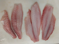 Thumbnail for Red Snapper Fish Fillets, Wild Caught, Raw, Fresh Frozen - Circle C Farm