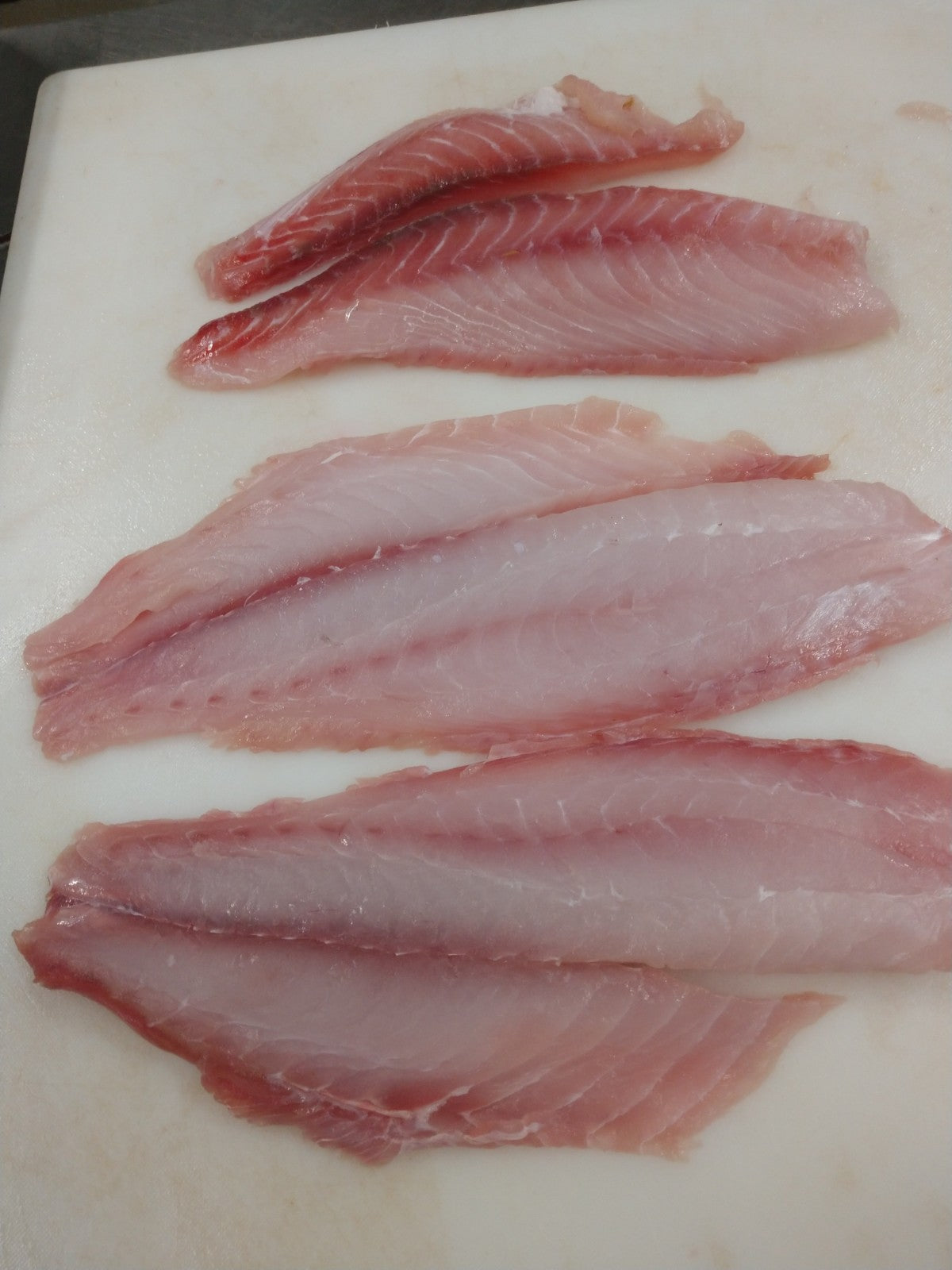 Red Snapper Fish Fillets, Wild Caught, Raw, Fresh Frozen - Circle C Farm