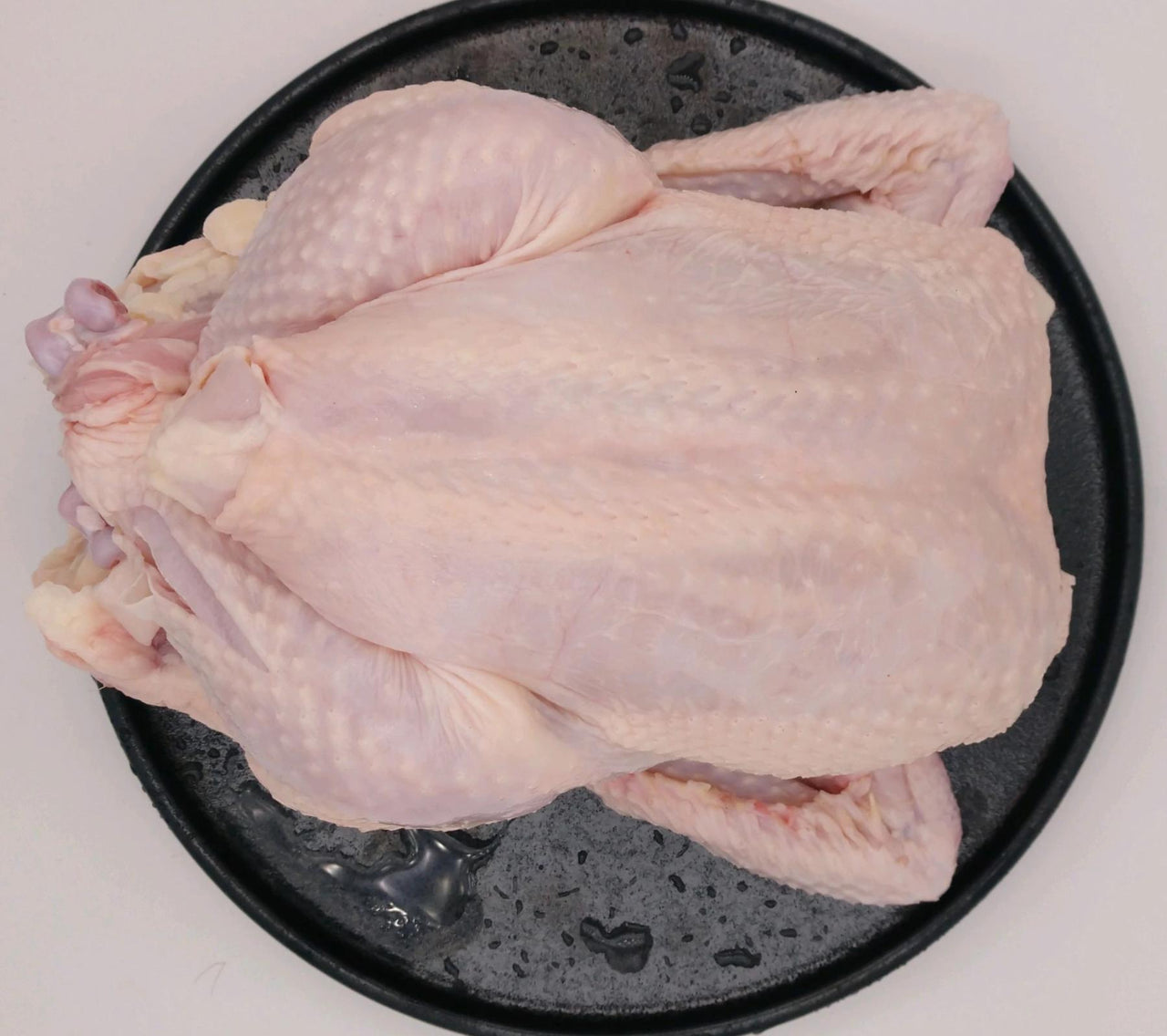 Pasture Raised Chicken Whole Broiler