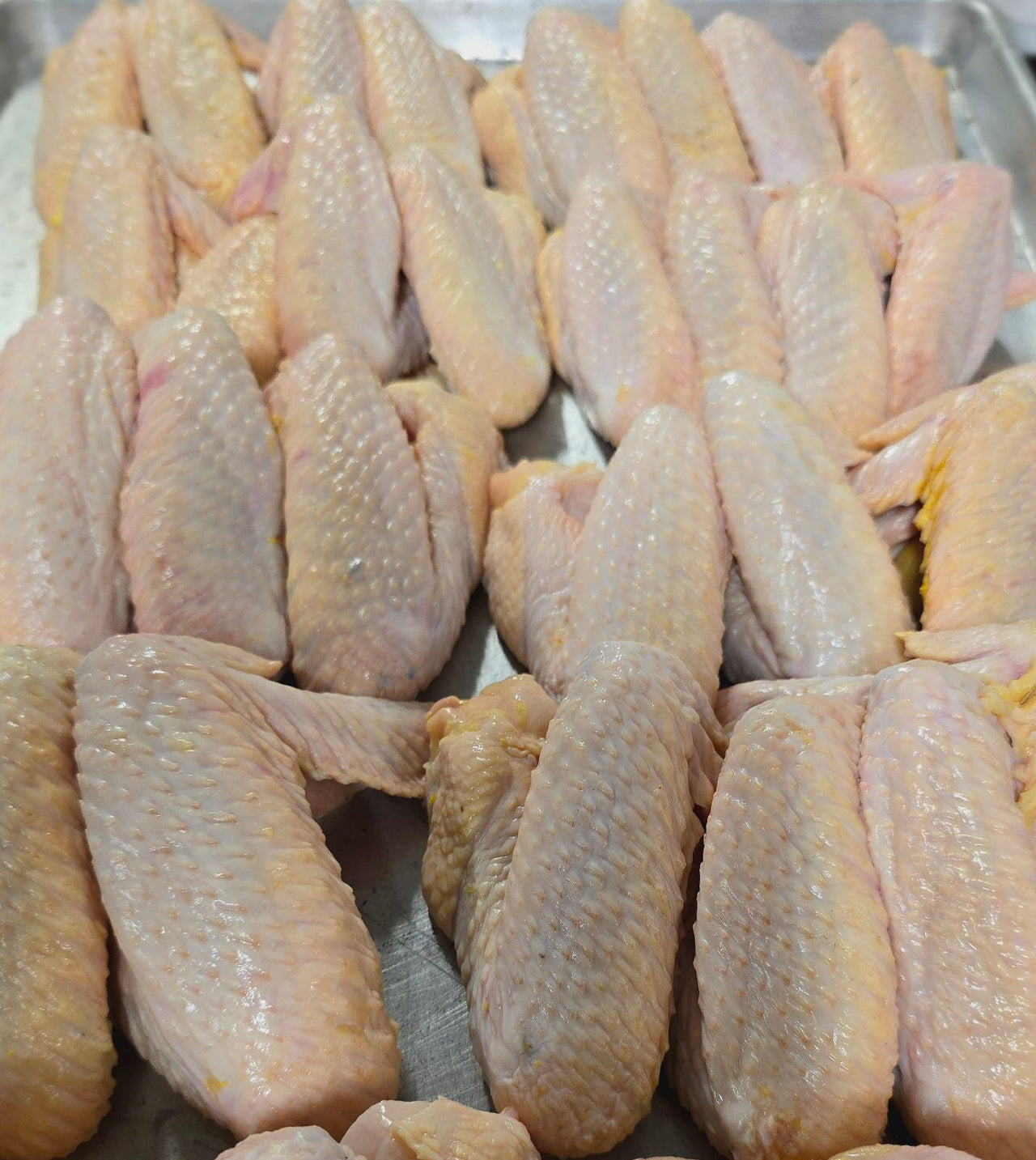 Pasture Raised French Sasso Chicken Wings