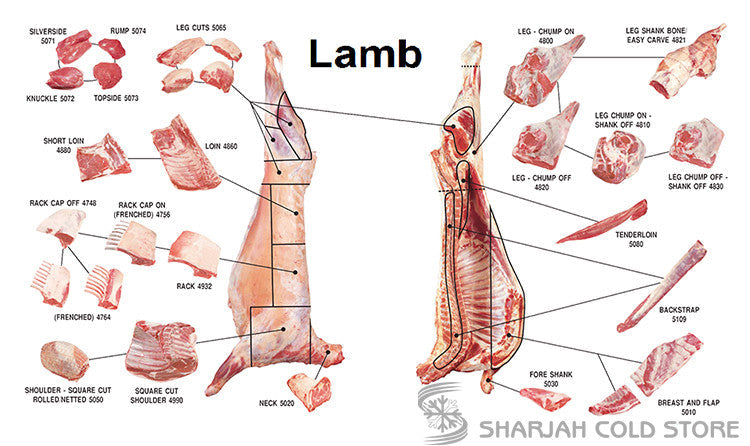 Circle C Farm Sheep, Lamb, Goat Abattoir (Slaughter Slaughterhouse) and Butcher Services - Circle C Farm